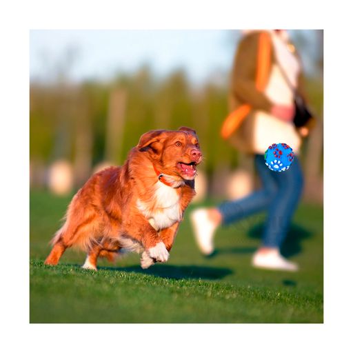 Juguete para Perro Pelota Celeste Talla M GENERICO