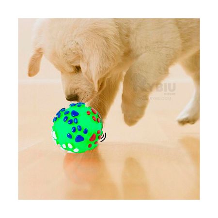 Pelota Pequeña para Mascotas Color Verde de Talla M