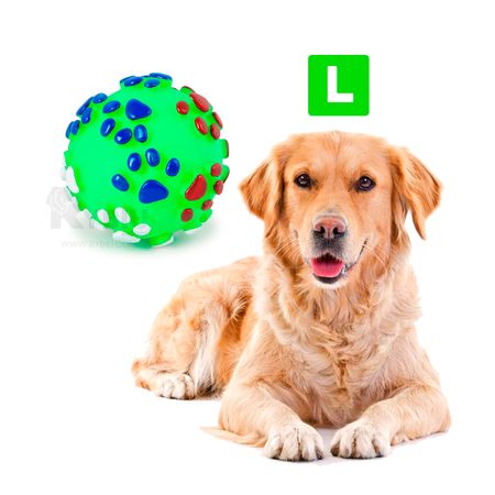 Divertida Pelota Color Verde para Perro Talla L