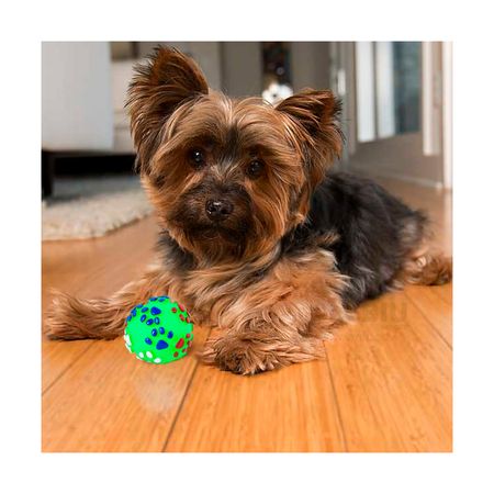 Juguete para Perro Pelota Color Verde Talla L