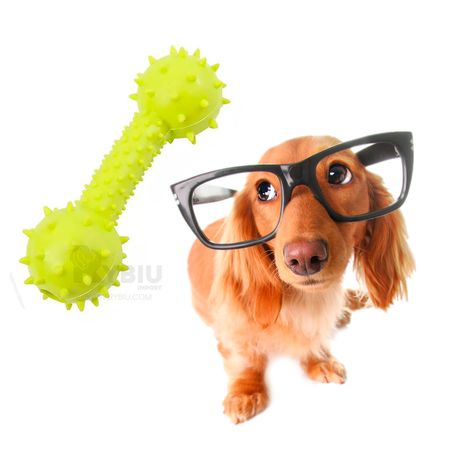 Juguete para Perro de Goma Masticable Verde