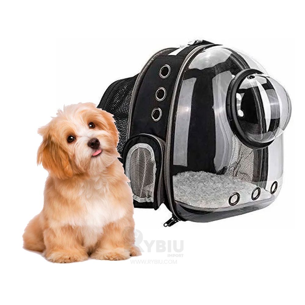 Funda Elástica Para Libros Con Diseño De Gato Negro - Lavable Y Reutilizable