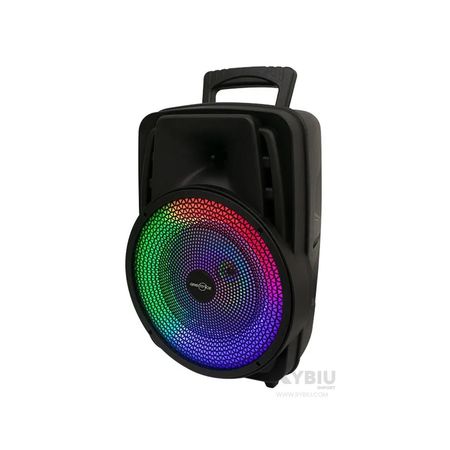 Altavoz Bluetooth de Color Negro Clasico