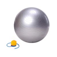 Pelota Pilates Yoga Plomo 75cm Gym