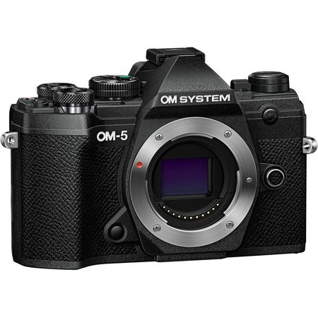 Cámara Mirrorless Om System Om 5 Negro