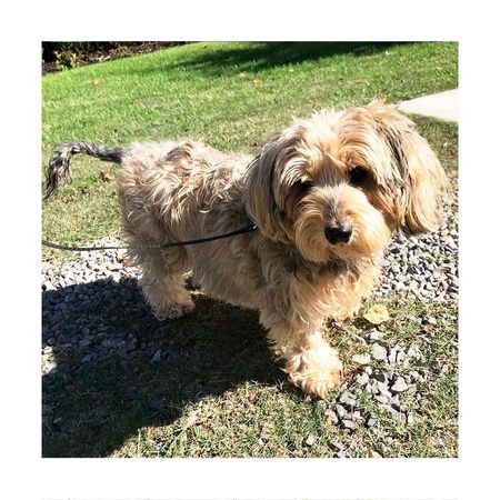 Gran Cuerda Retractil de Color Rosado