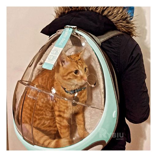 Mochilas para transporte online de gatos