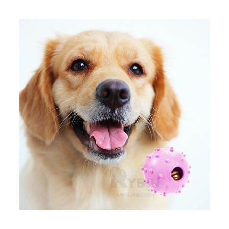 Bola Llamativa con Cascabel para Perro Rosado