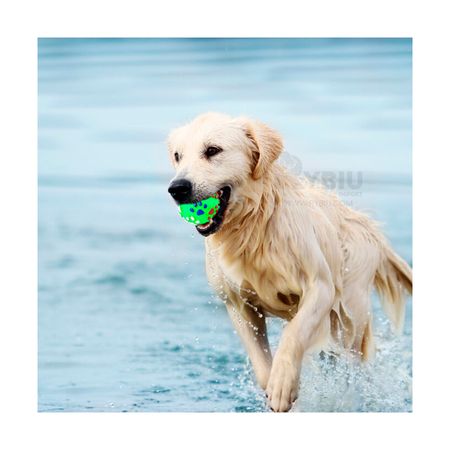 Divertida Pelota con Huellitas Color Verde Talla L