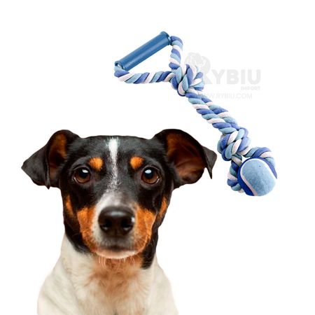 Pelota con Soga y Agarrador para Mascotas Azul