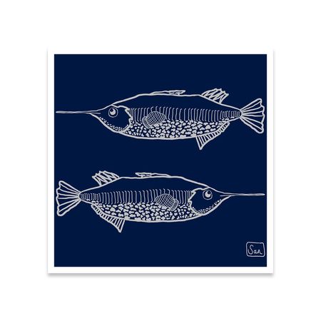Cuadro Trumpet fish x 2 30x30 Papel de Algodón Marco blanco
