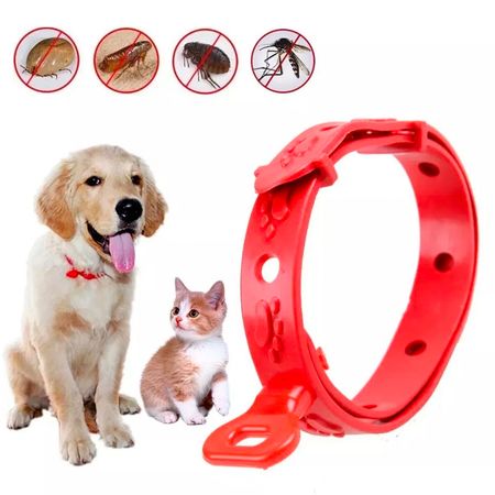 Collar Antipulgas Graduable para Perros pequeños y medianos