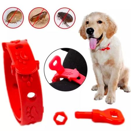 Collar Antipulgas Graduable para Perros pequeños y medianos