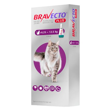 Antipulgas para Gatos Bravecto desde 6.25kg a 12.5kg