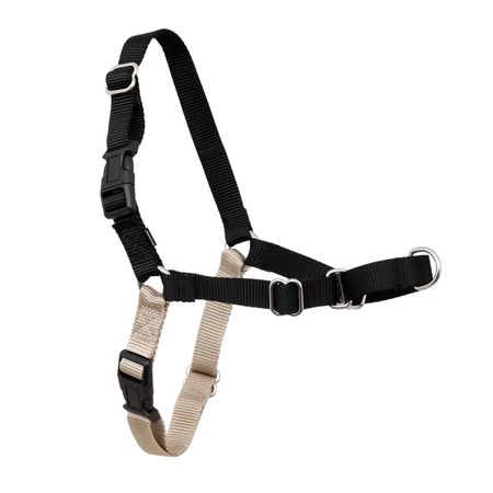 Arnés para Perros PetSafe Easy Walk Color Negro Talla S