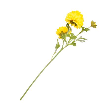 Crisantemo Margarita amarillo 66cm