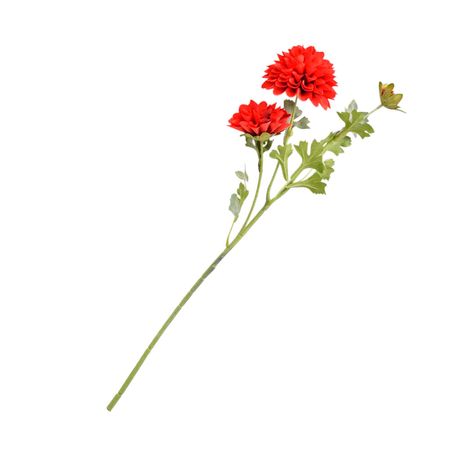 Crisantemo Margarita rojo 66cm