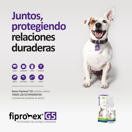 image-4faa8268edaa4df9b02f2c752ab546b9