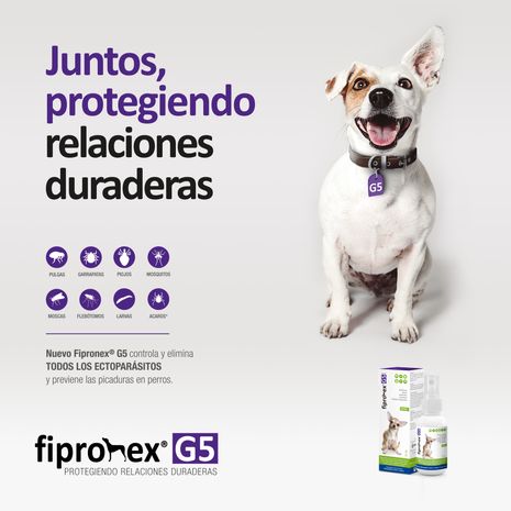 image-4faa8268edaa4df9b02f2c752ab546b9
