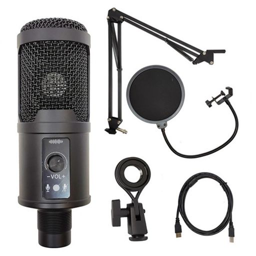 Kit Microfono Condensador Profesional BM65 USB Estudio de Grabación PC
