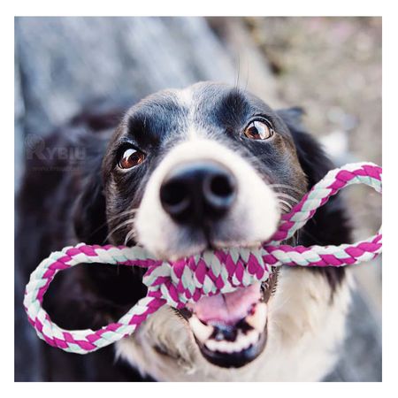 Juguete para Perros Soga con Pelota Rosa GENERICO