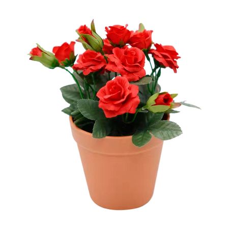 Mini rosa roja mediana en maceta 18cm