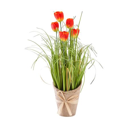 Grass con tulipan naranja en maceta 36cm