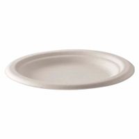 Plato DARNEL Naturals Bagazo 6- 20un 99x99x99mm
