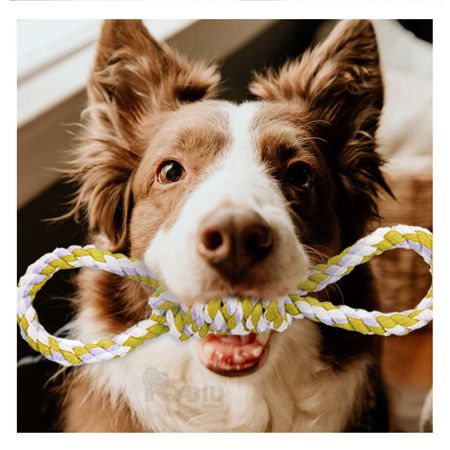 Soga para Perros Cuerda de 4 Nudos Amarillo