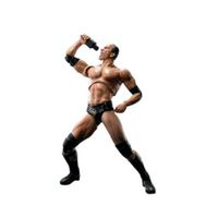Figura de Accion The Rock Bandai SHFiguarts