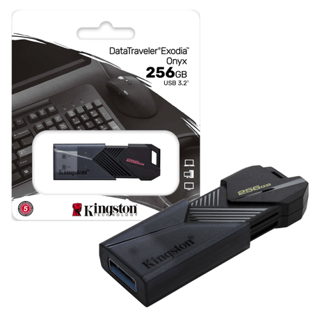 USB Kingston 256GB Retractil Onyx