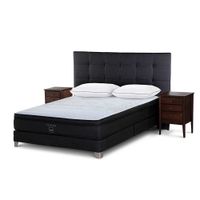 Set Cama Tempo Issey Graf Queen + 2 Almohadas