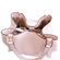 imageUrl_3