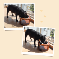 Comedero de Madera para Perro Inca Miau color miel