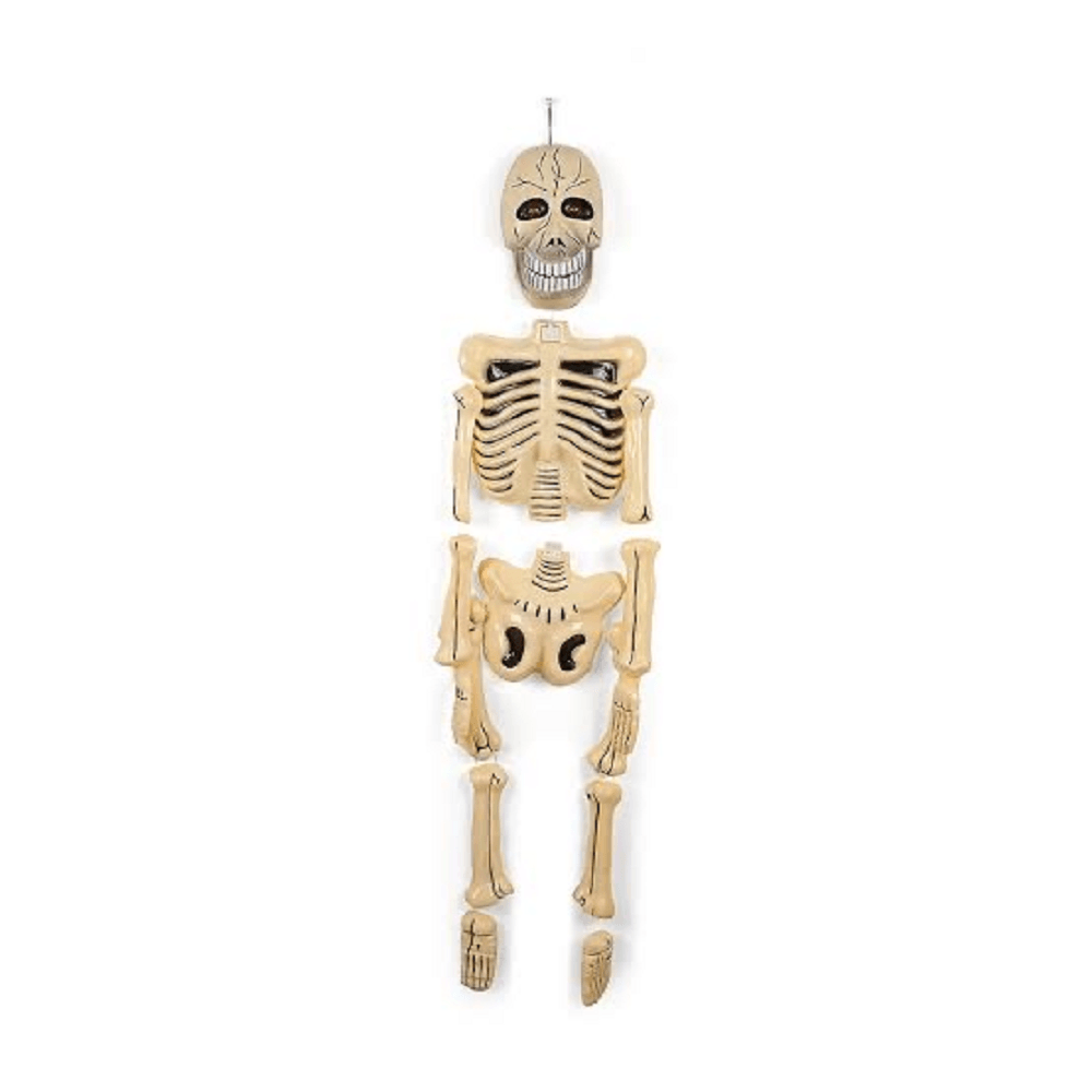 Esqueleto de Plástico para Decoración