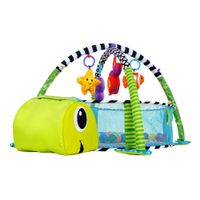 Gimnasio de Actividad Circular con Pelotas Tortuga