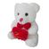 imageUrl_2
