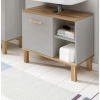 Mueble Inferior de Lavadero Hige 1 Puerta R&R MUEBLES