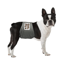Pañal Reutilizable para Perro Macho Patitas Shop Color Gris Talla XS