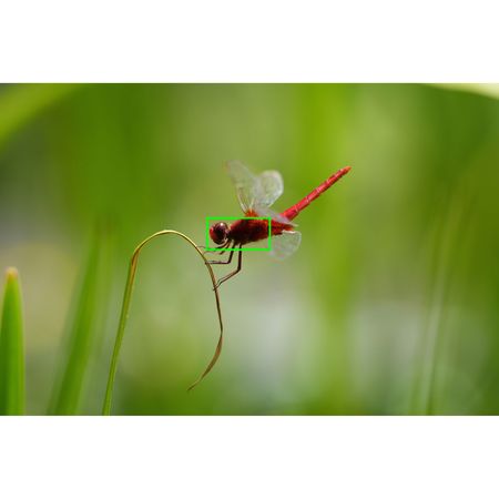 imageUrl_33