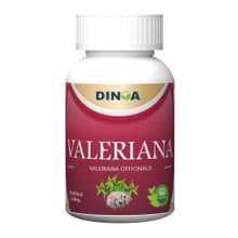 NaturalSlim Helpzymes - Fórmula premium de enzimas digestivas para ultra  digestión y absorción con ácido HLC y pancreatina, suplementos de apoyo  para