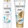 pack-pantene-shampoo-pro-v-miracles-equilibrio-raiz-y-puntas-frasco-300ml-acondicionador-hidratante-250ml