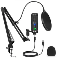 Micrófono Condensador Profesional USB Sonido Puro BM65 Reducción Ruido
