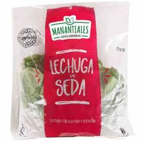 Lechuga Seda Hidropónica MANANTIALES x und.