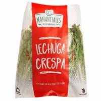Lechuga Crespa Hidropónica MANANTIALES  Bolsa x und.