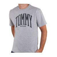 Polo Niño Tommy Hilfiger Color Gris