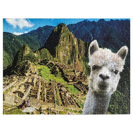 image-6b110912113f46e4877392336940b6cf