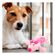 imageUrl_4