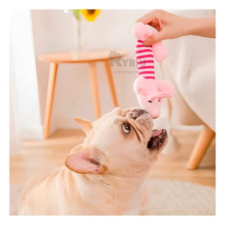 imageUrl_1