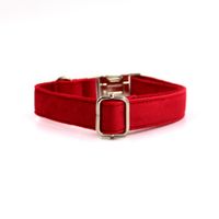 Collar para Mascotas Talla S Rojo
